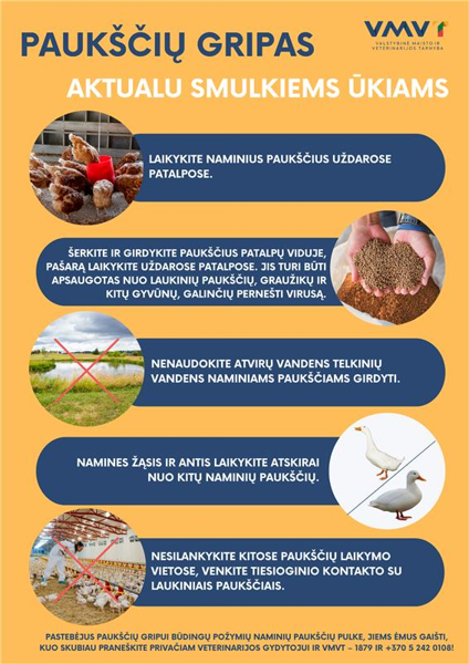 Новостное изображение