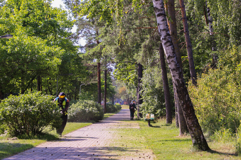 Preliminarus šienavimo grafikas nuo 2025 m. liepos 28 d.