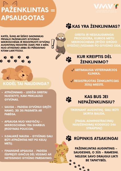Новостное изображение