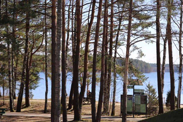 Новостное изображение