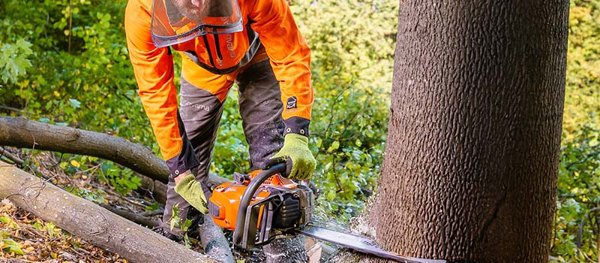 Новостное изображение