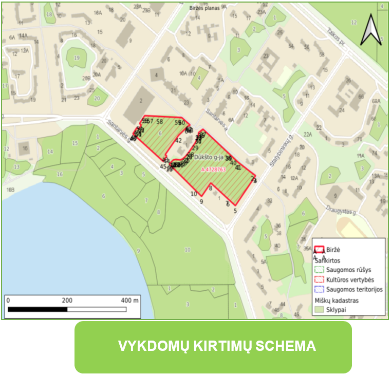 Valstybinės reikšmės miške Visagine bus atliekami atrankiniai sanitariniai kirtimai