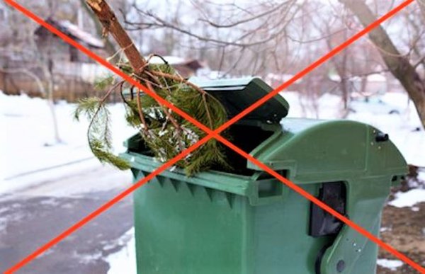 Новостное изображение