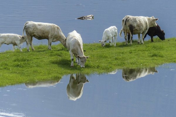 Новостное изображение