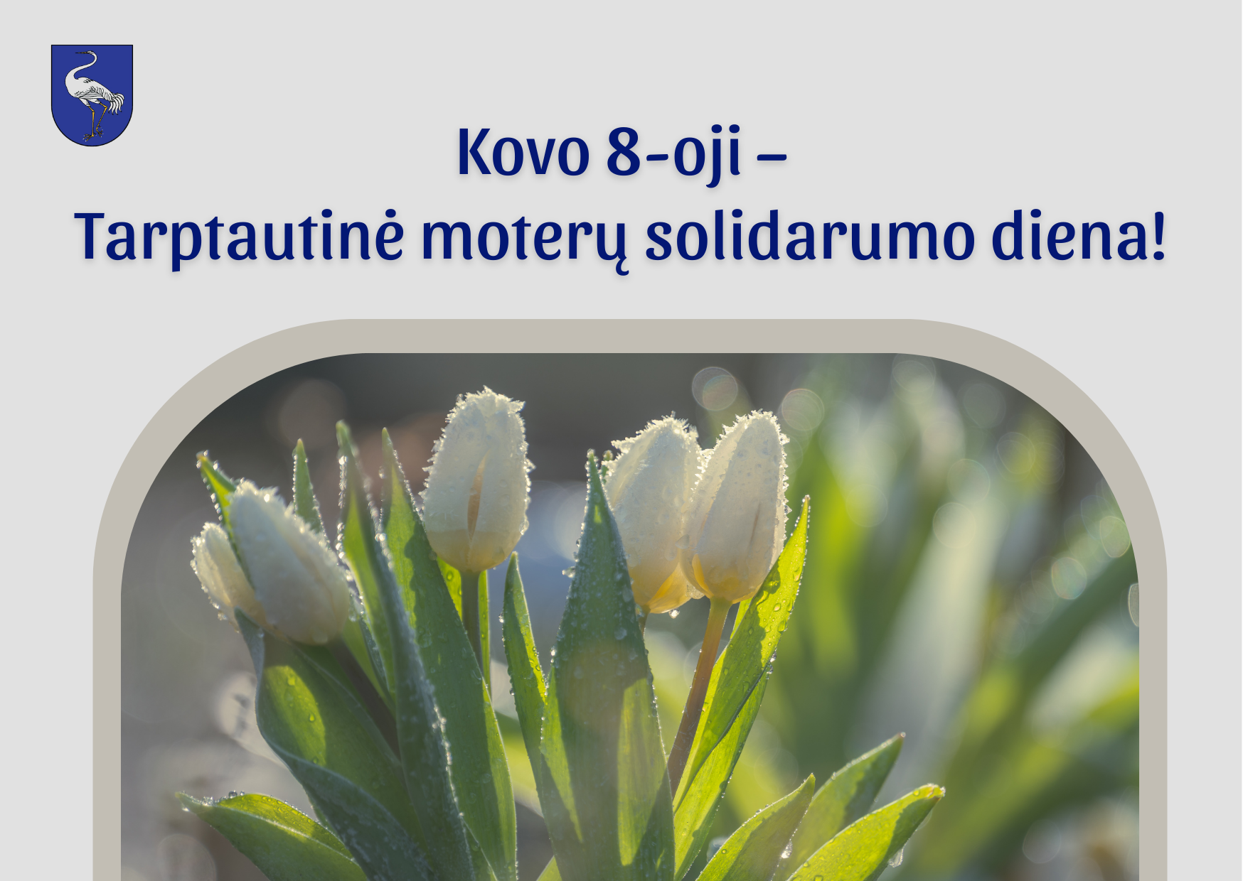 Kovo 8-oji – Tarptautinė moterų solidarumo diena!