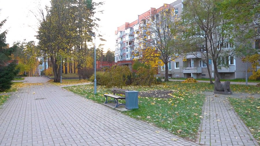 Рабочая группа выбрала новое название улицы Тарибу