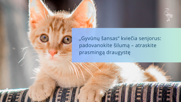 Новостное изображение