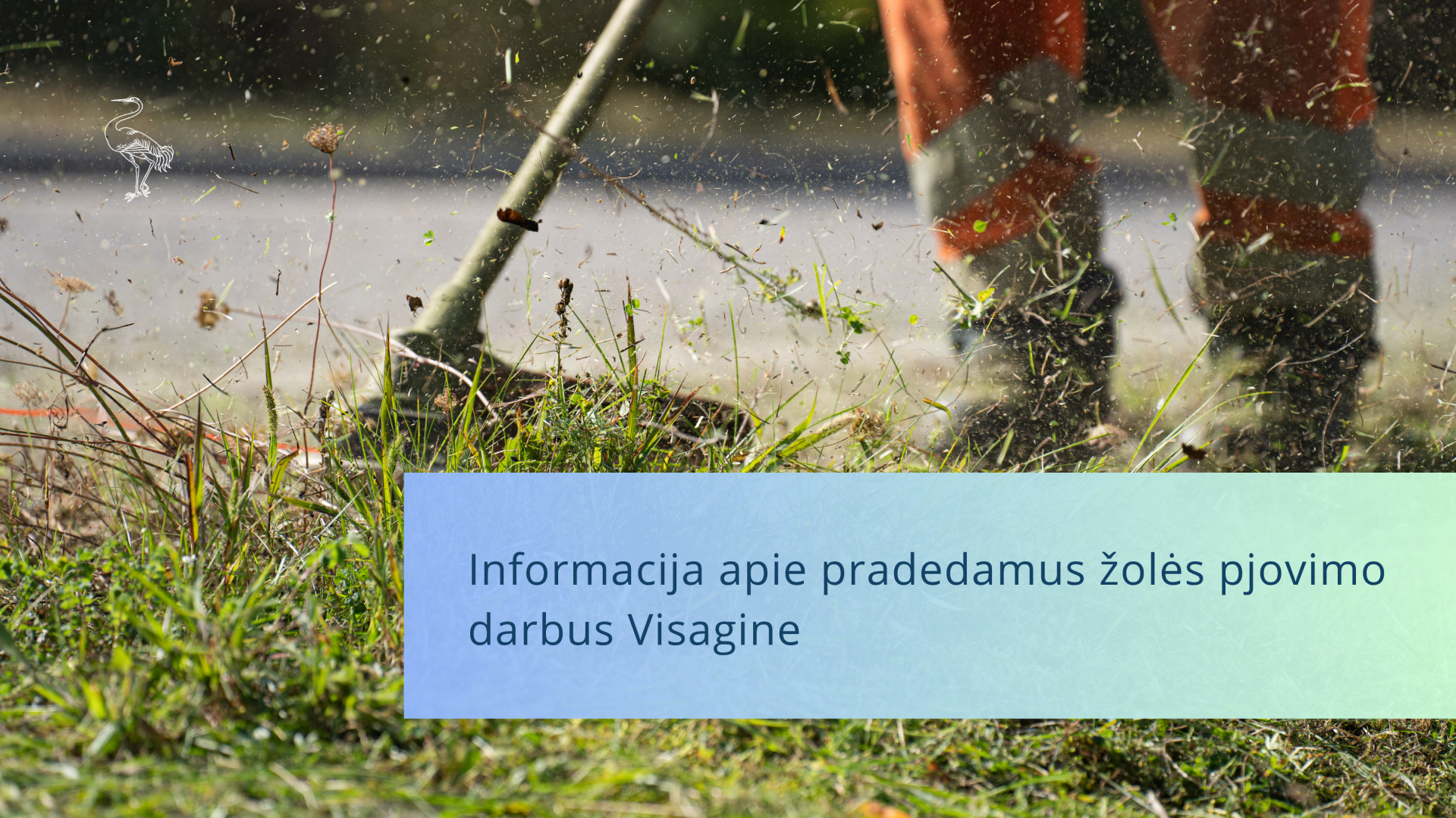 Informacija apie pradedamus žolės pjovimo darbus Visagine