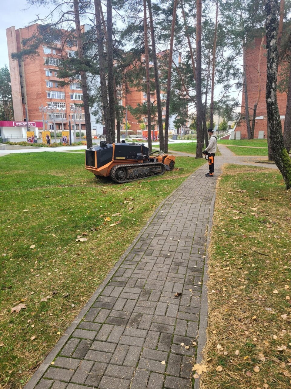 Vykdomi kelmų šalinimo darbai