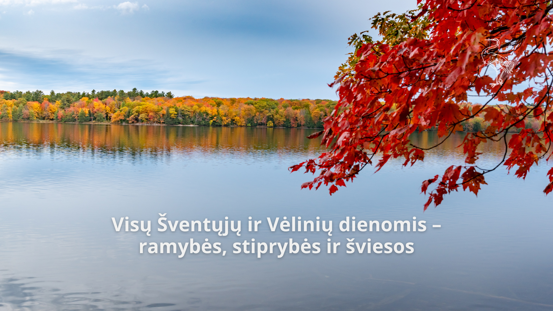Visų Šventųjų ir Vėlinių dienomis – ramybės, stiprybės ir šviesos