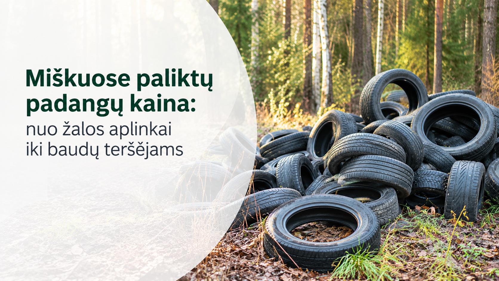 Miškuose paliktų padangų kaina: nuo žalos aplinkai iki baudų teršėjams