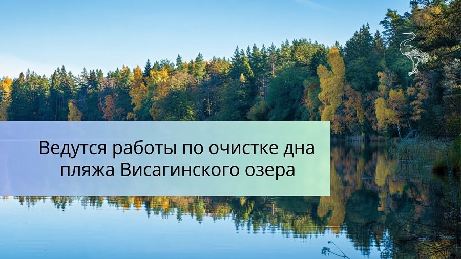 Работы по очистке дна на пляже Висагинского озера