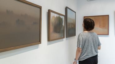 Гармония красок и фактур: новая выставка в Висагинасе (фотогалерея)